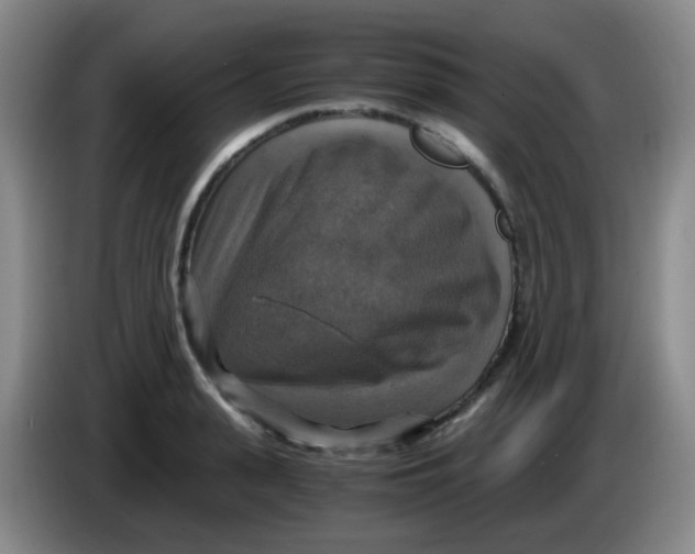 X0000083980943200703091821