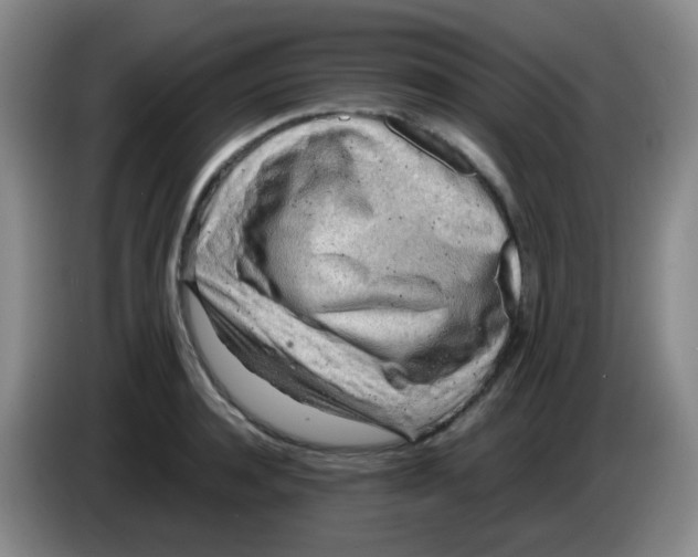 X0000083980944200703091821