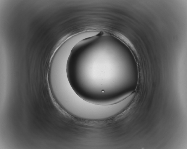 X0000083980946200703091821