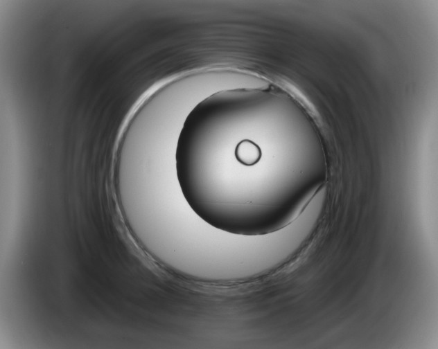 X0000083980948200703091821