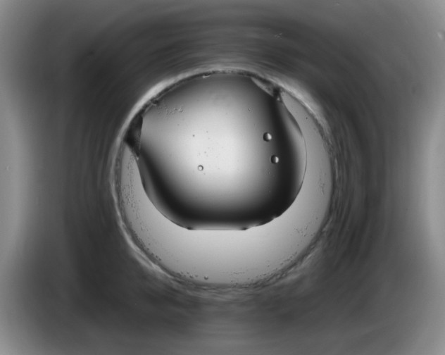 X0000083980950200703091821