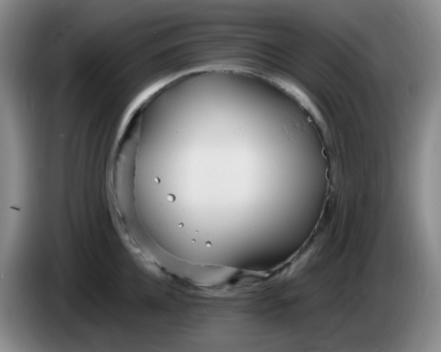 X0000083980952200703091821