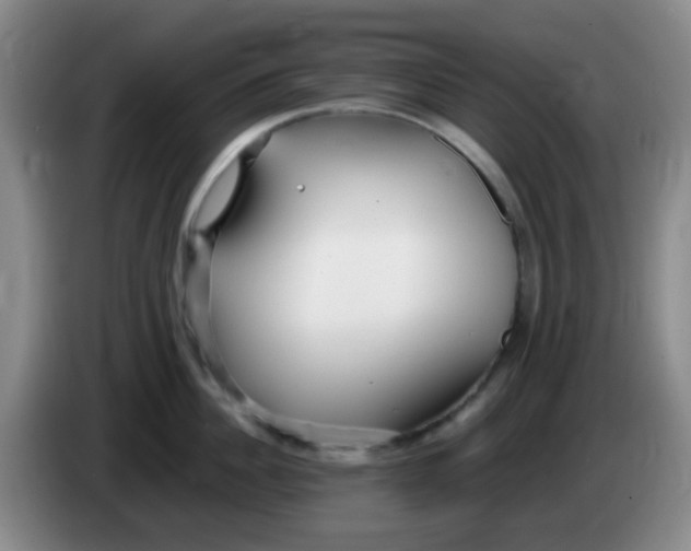 X0000083980956200703091821