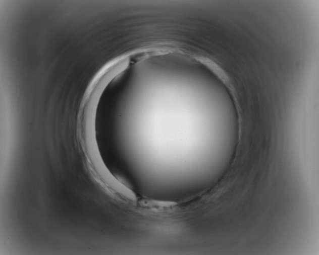 X0000083980960200703091821