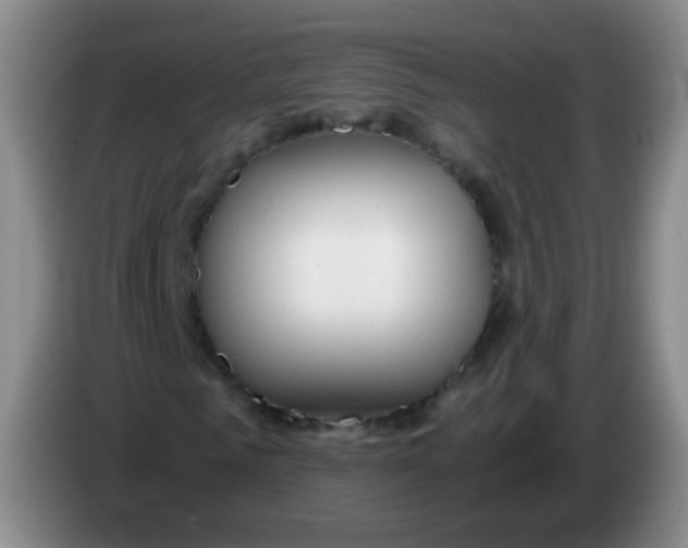 X0000083980961200703091820