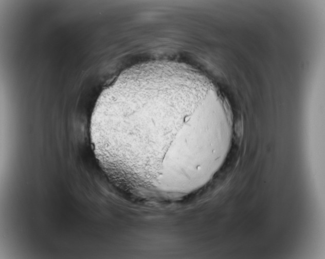 X0000083980963200703091820