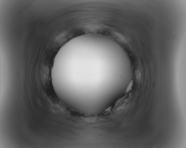 X0000083980964200703091820