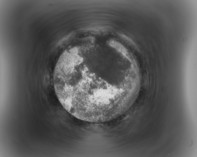 X0000083980966200703091820