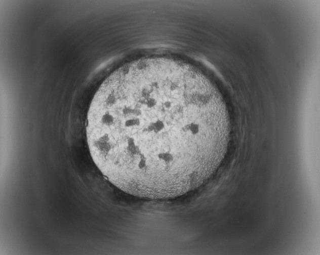 X0000083980967200703091820