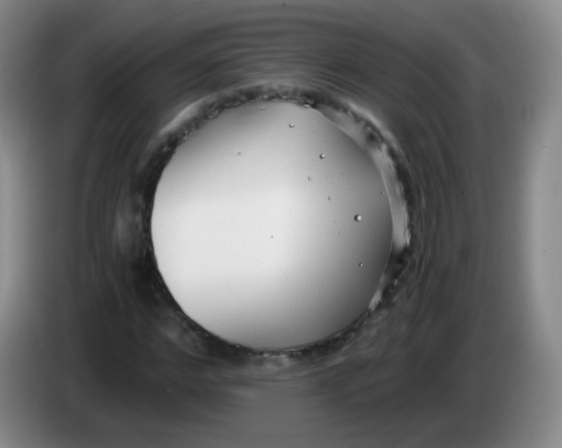 X0000083980968200703091820