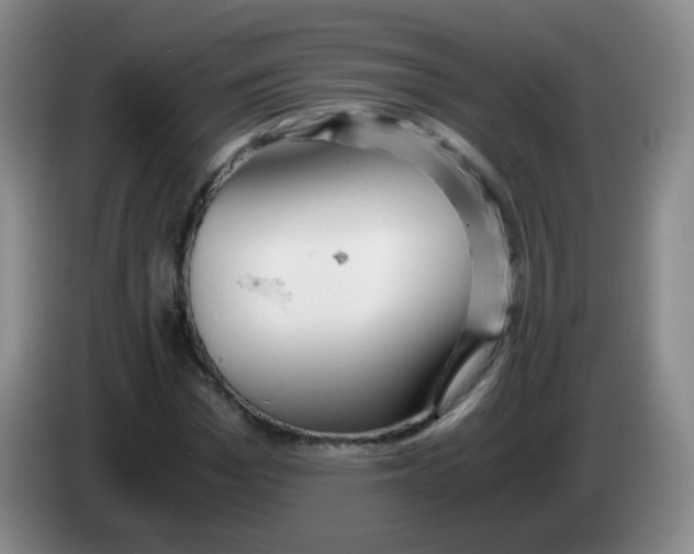 X0000083980969200703091820