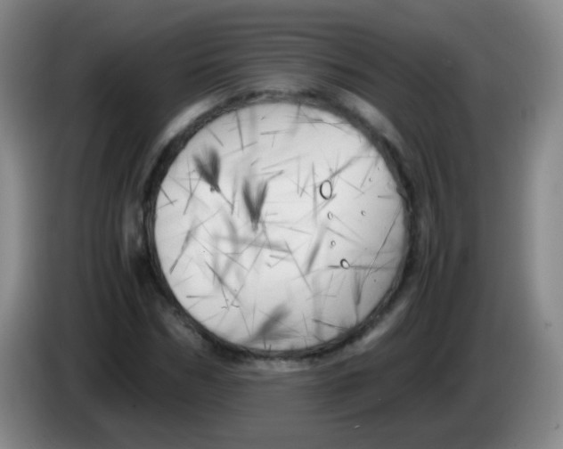 X0000083980970200703091820