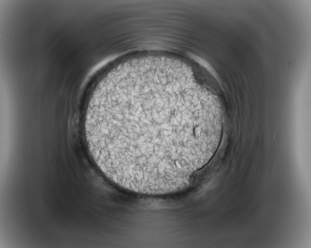 X0000083980971200703091820