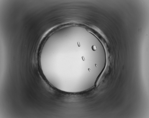 X0000083980972200703091820