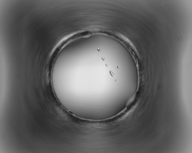 X0000083980973200703091820