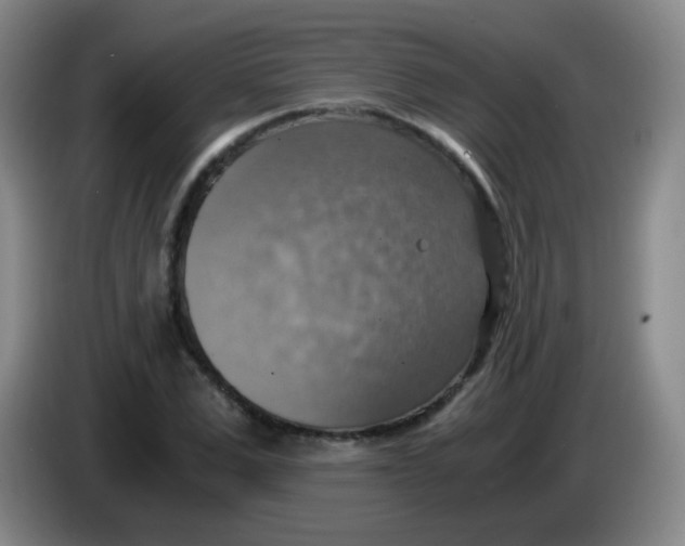 X0000083980975200703091820