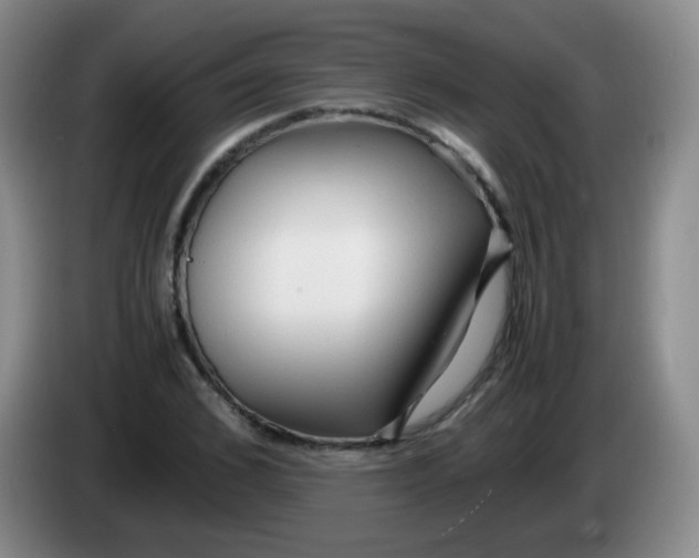 X0000083980976200703091820