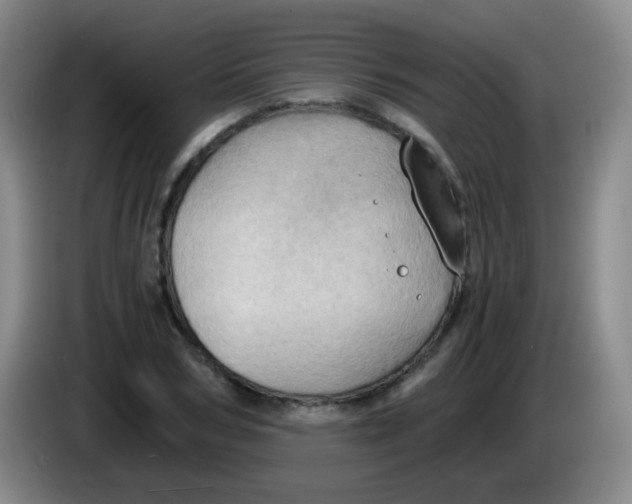 X0000083980978200703091820