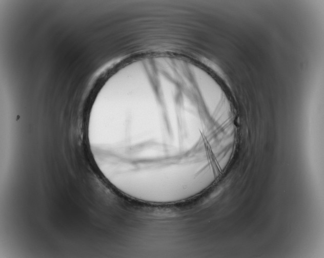 X0000083980979200703091820