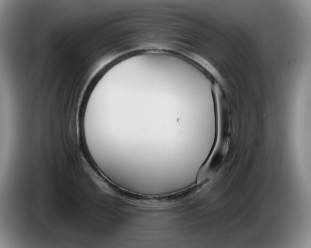 X0000083980980200703091820