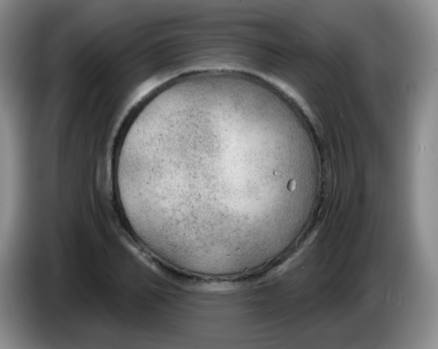 X0000083980982200703091820