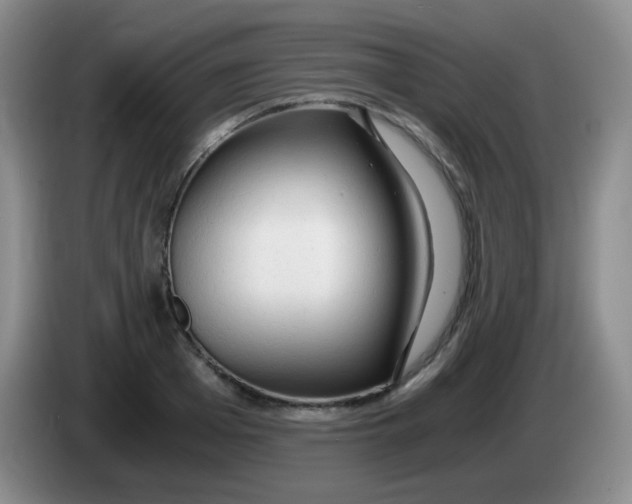 X0000083980985200703091820