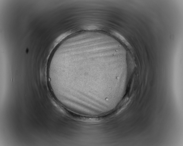 X0000083980986200703091820