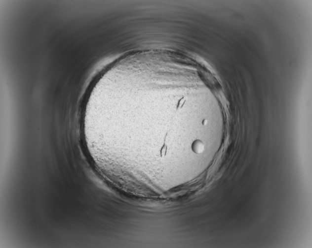 X0000083980987200703091820