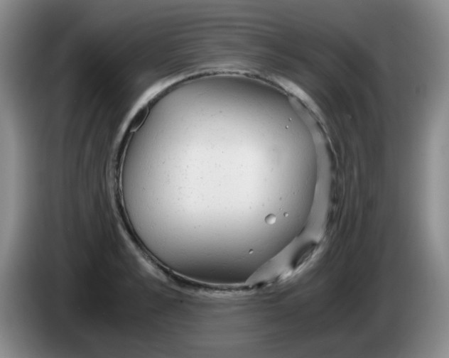 X0000083980989200703091820