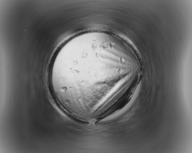 X0000083980991200703091820