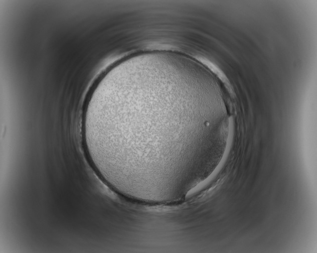 X0000083980992200703091820