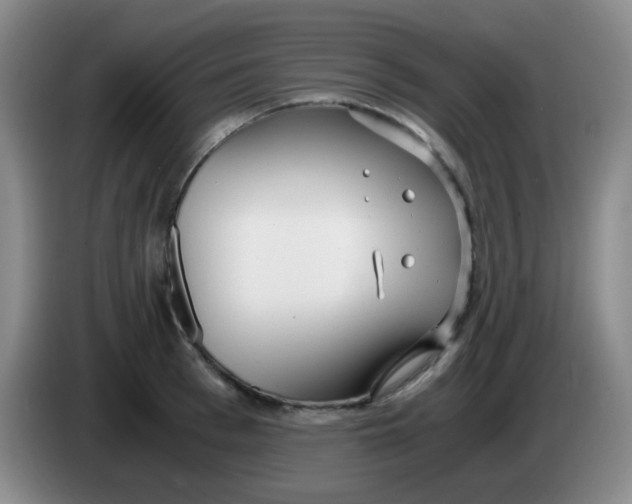 X0000083980993200703091820