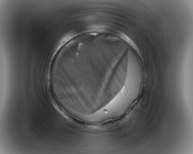 X0000083980994200703091820