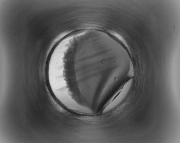 X0000083980995200703091820