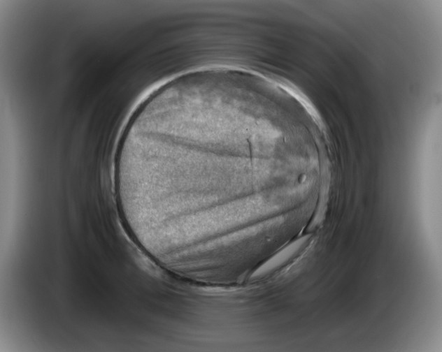 X0000083980996200703091820