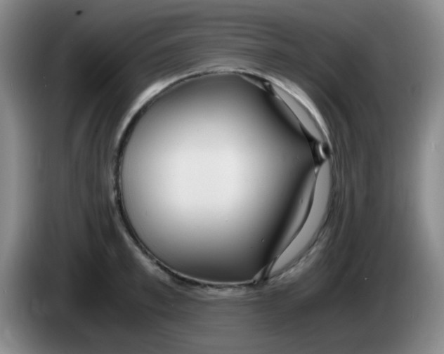 X0000083980997200703091820