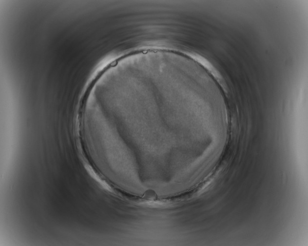 X0000083980998200703091820