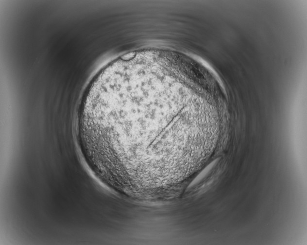 X0000083980999200703091820