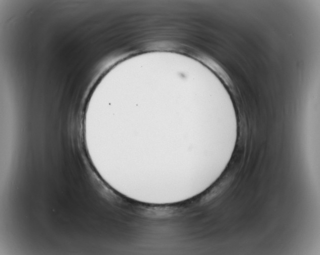 X0000083981000200703091820