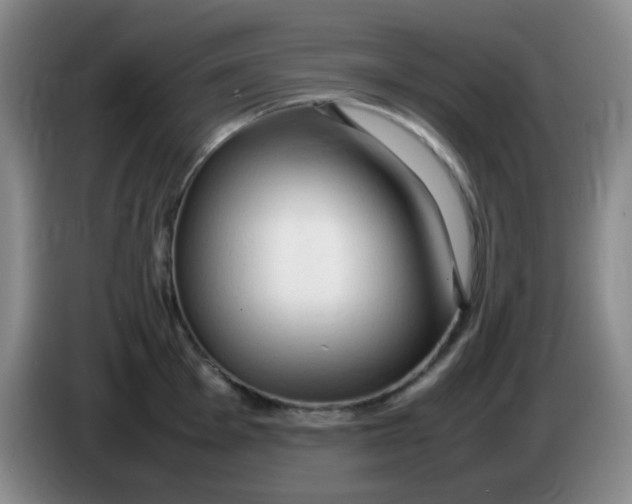 X0000083981001200703091820