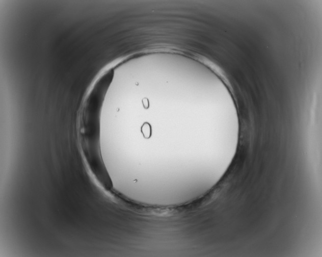 X0000083981003200703091820