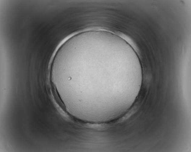 X0000083981004200703091820