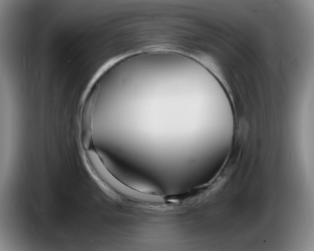 X0000083981005200703091820