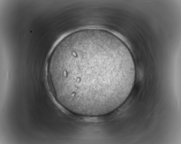 X0000083981006200703091820