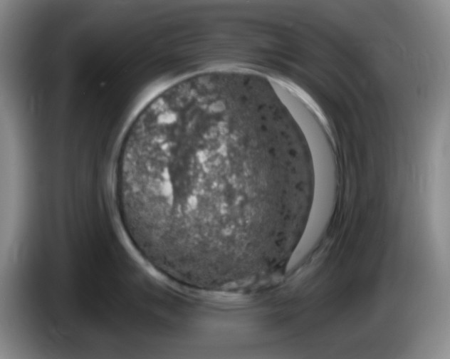 X0000083981007200703091820