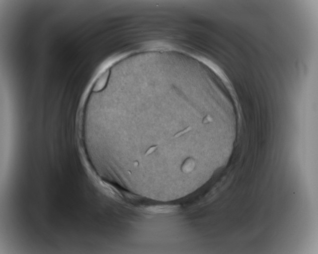 X0000083981008200703091820