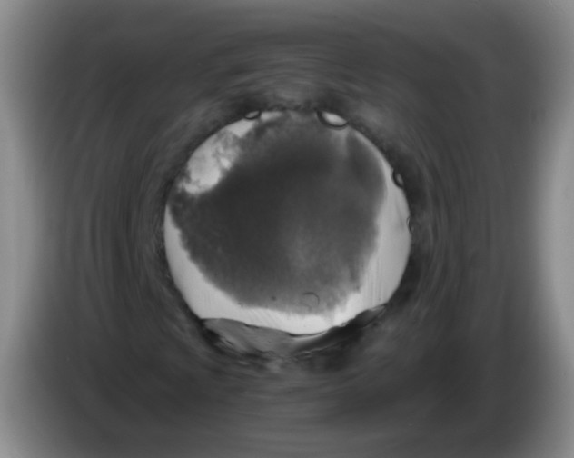 X0000083981009200703091819