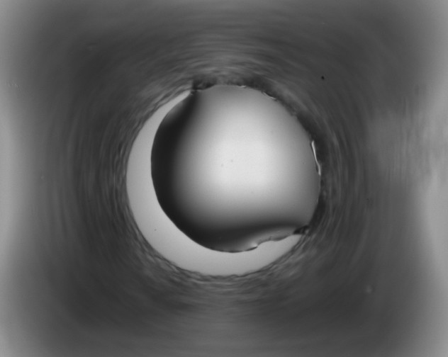 X0000083981010200703091819