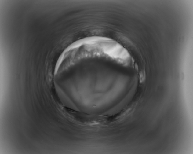 X0000083981011200703091819