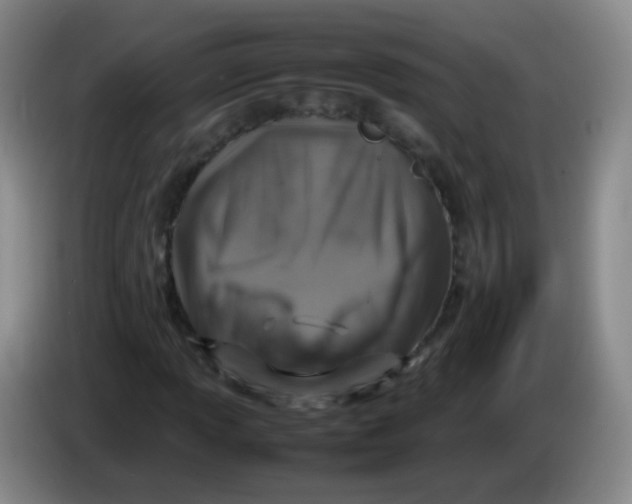 X0000083981013200703091819